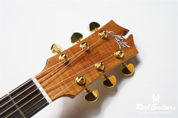EBG808 ARTIST